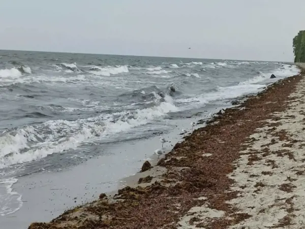 Bild 19 von 40