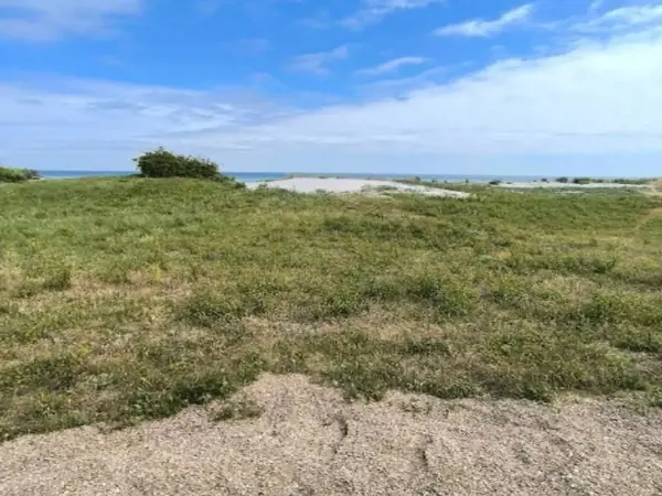 Bild 21 von 40