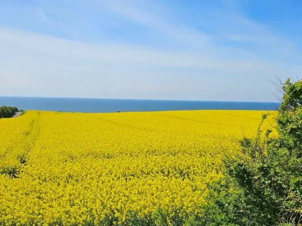 Bild 25 von 27