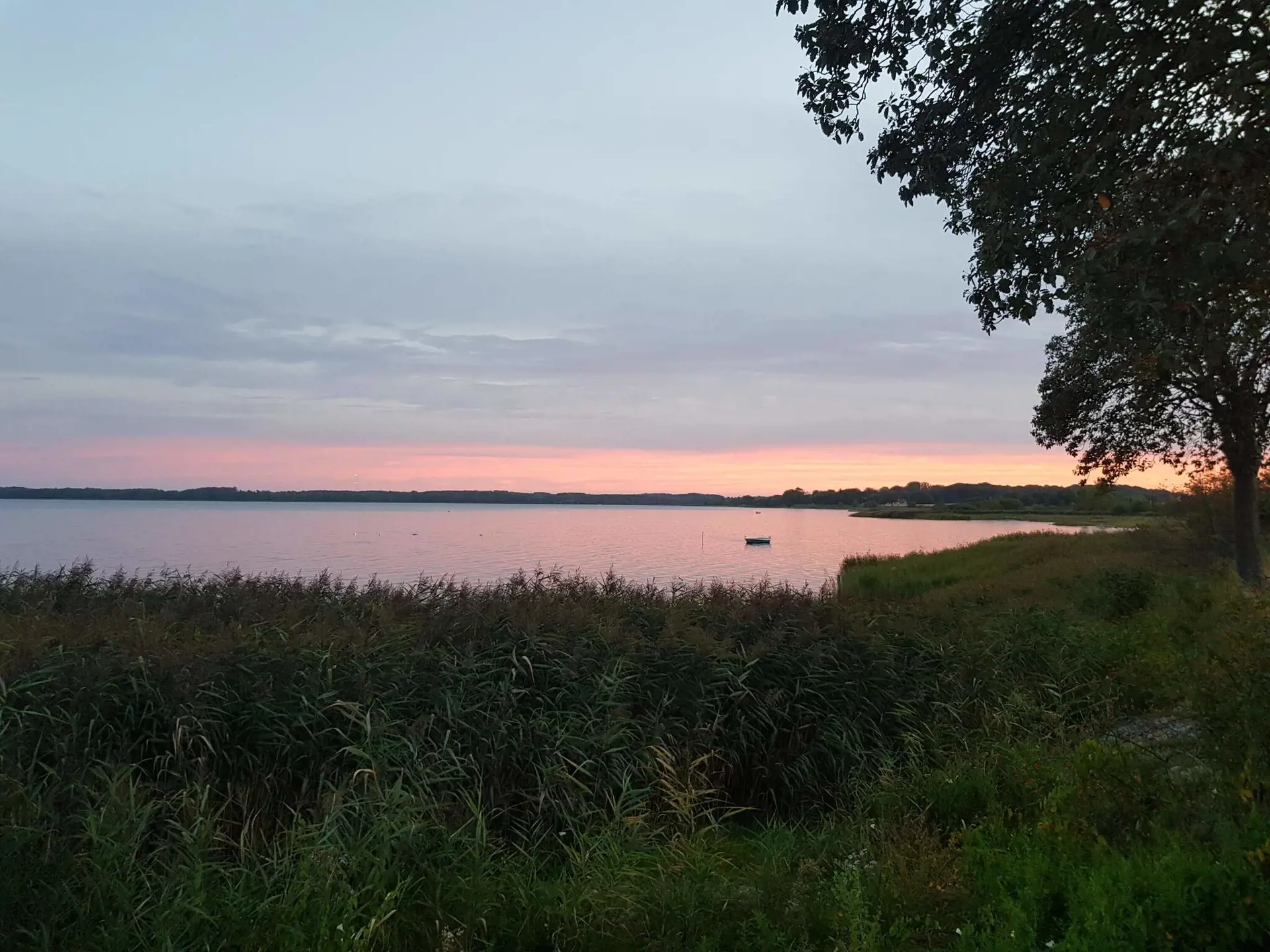 Bild 26 von 35