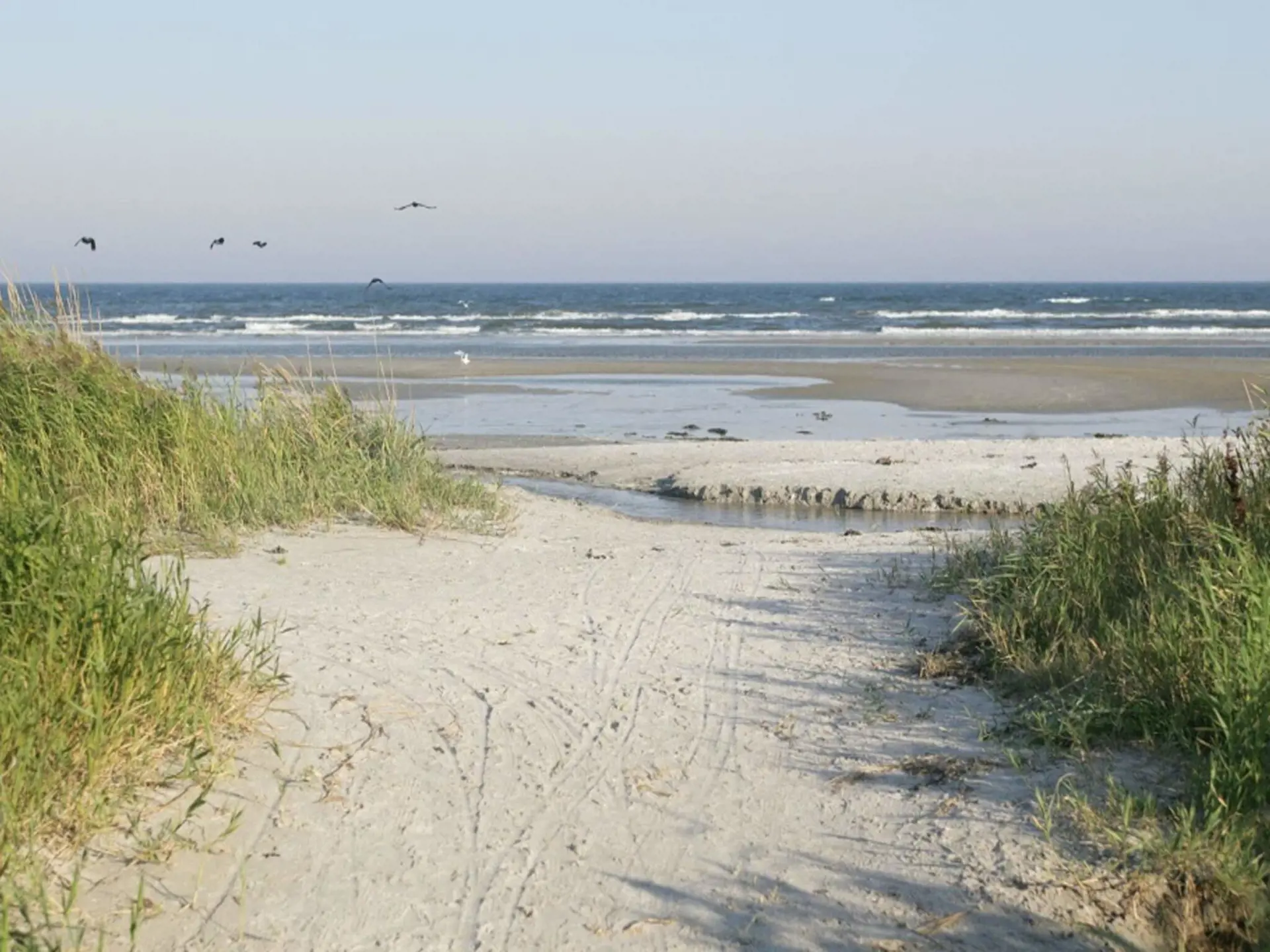 Bild 13 von 54