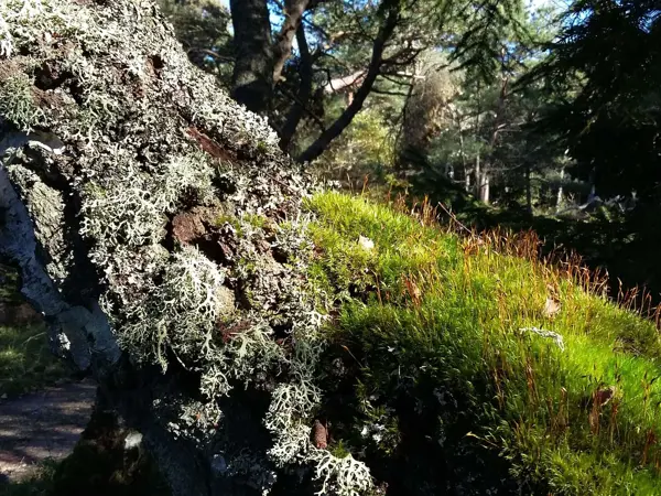 Bild 31 von 36