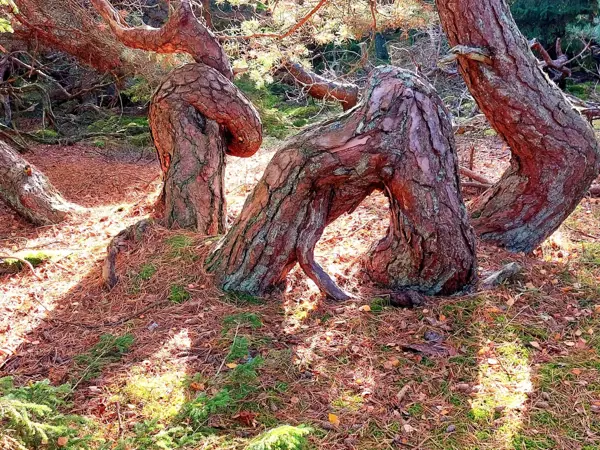 Bild 35 von 36