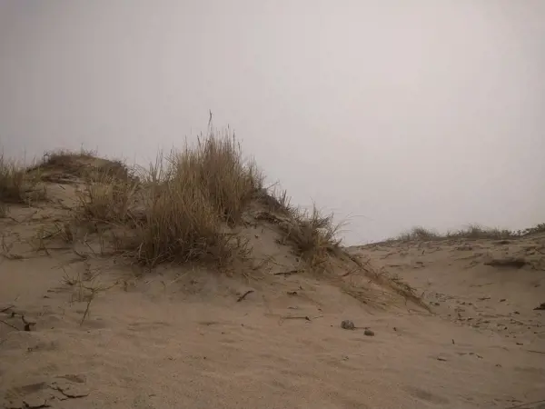 Bild 36 von 36