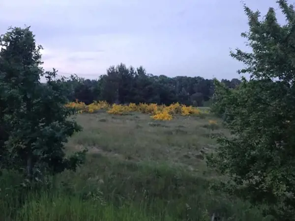Bild 35 von 40