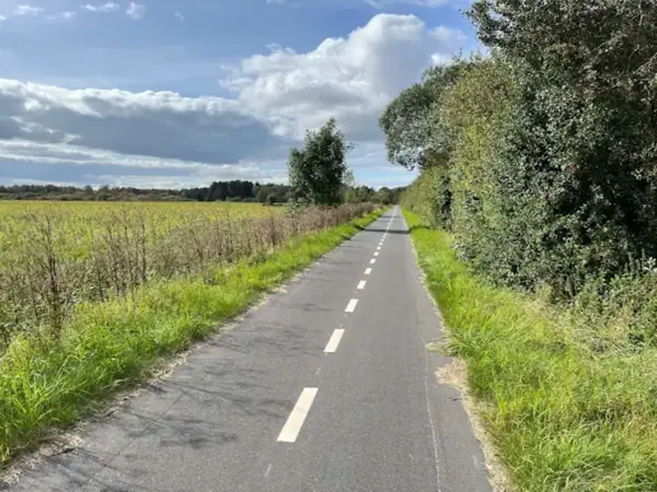 Bild 36 von 40