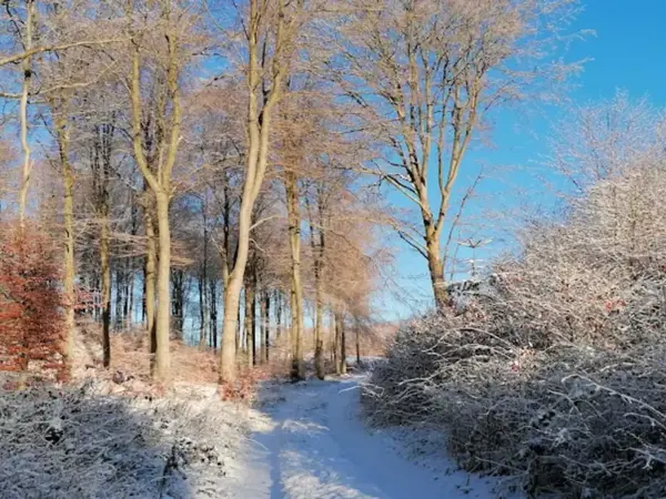 Bild 38 von 40
