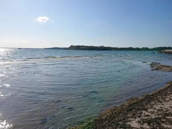 Bild 31 von 46