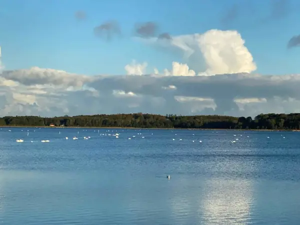Bild 35 von 46