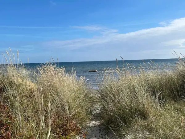 Bild 25 von 49