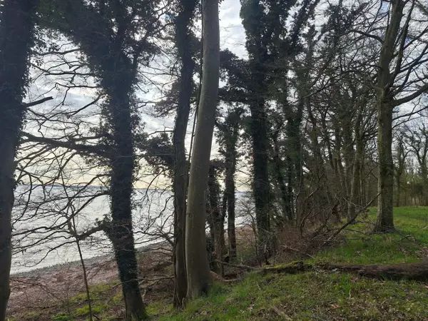 Bild 30 von 35