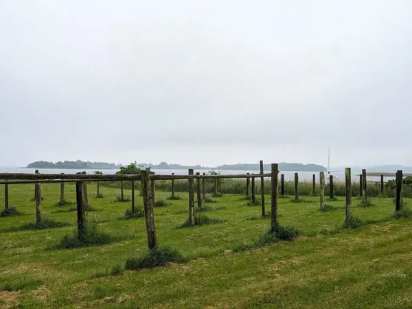 Bild 31 von 35
