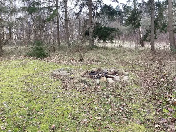 Bild 49 von 51