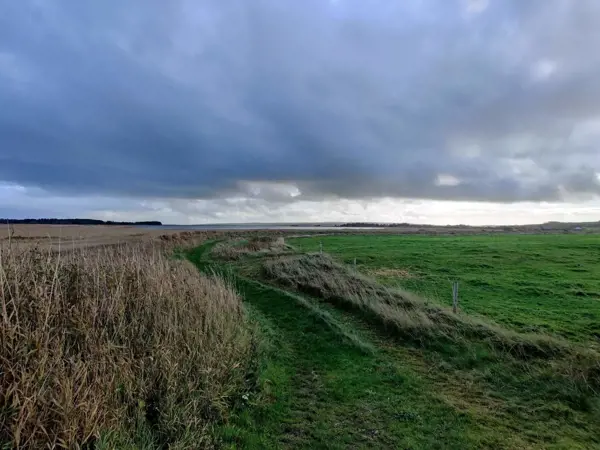 Bild 34 von 39
