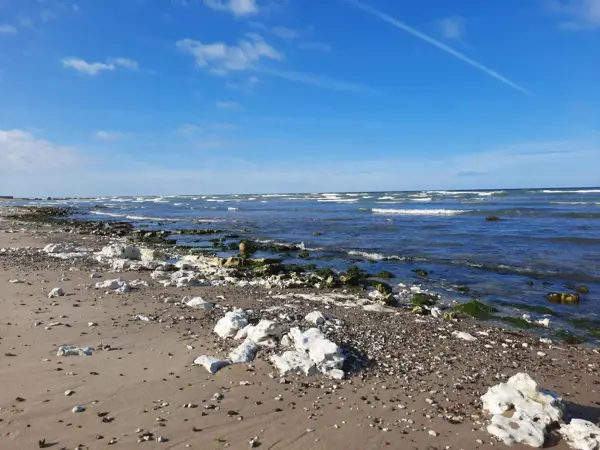 Bild 30 von 34