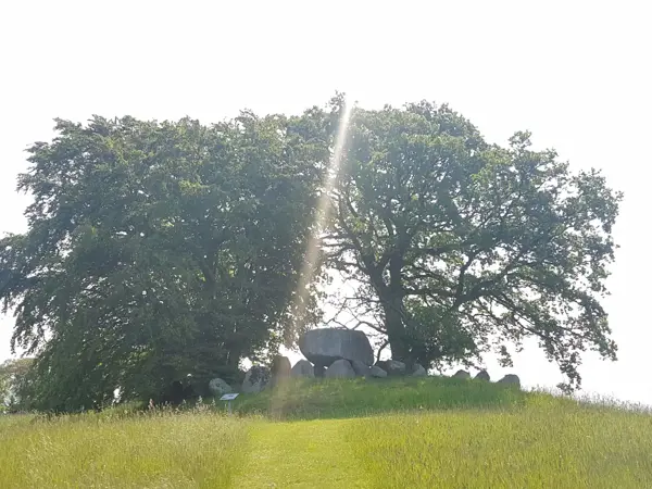 Bild 31 von 34