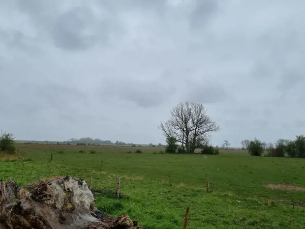 Bild 35 von 35