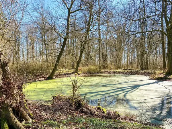 Bild 19 von 36