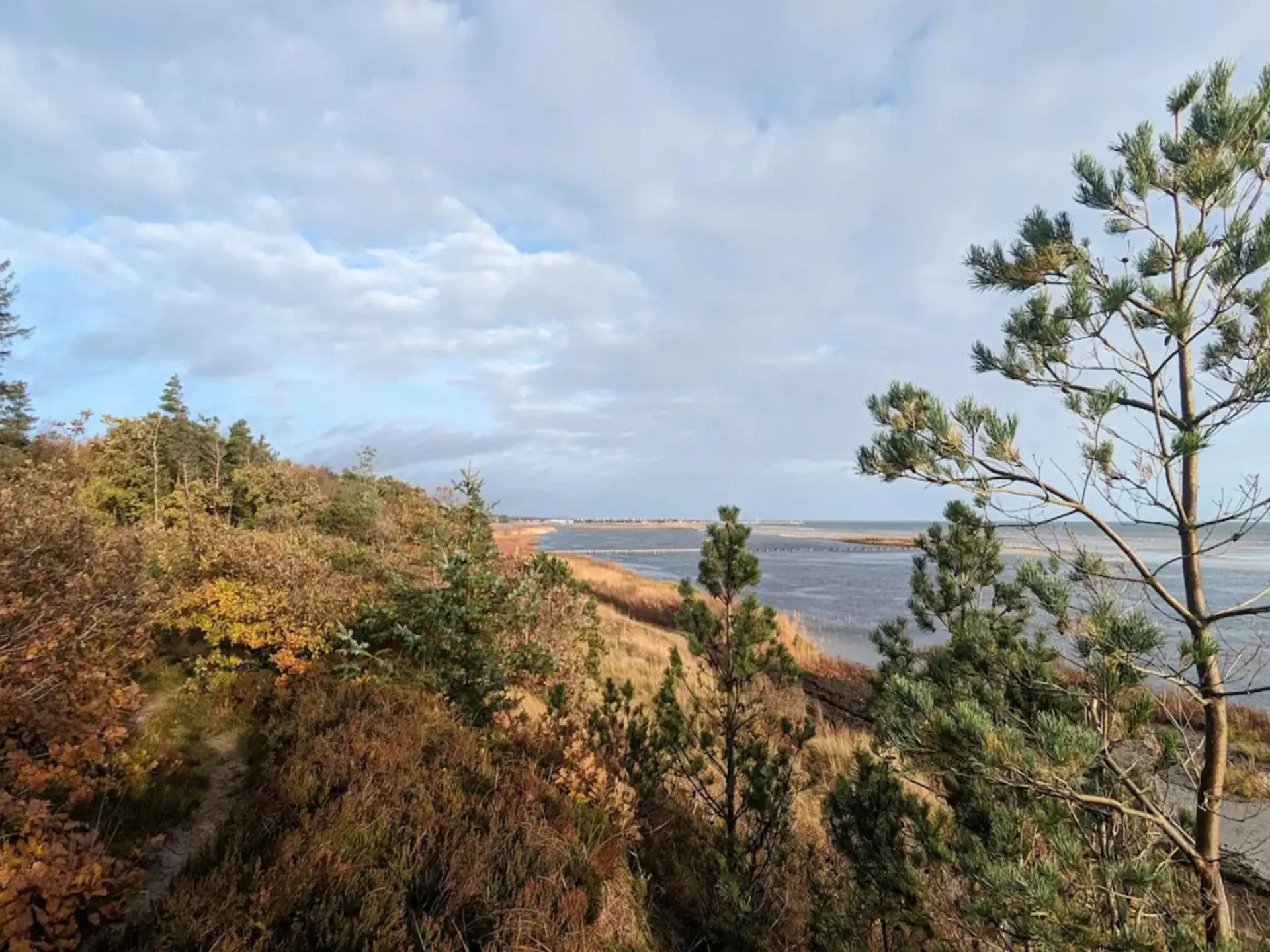 Bild 35 von 43
