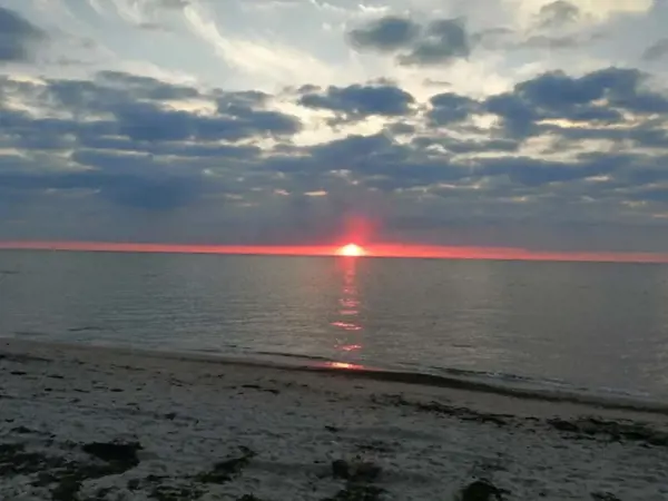 Bild 37 von 49