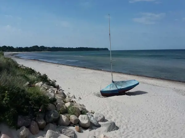 Bild 8 von 34