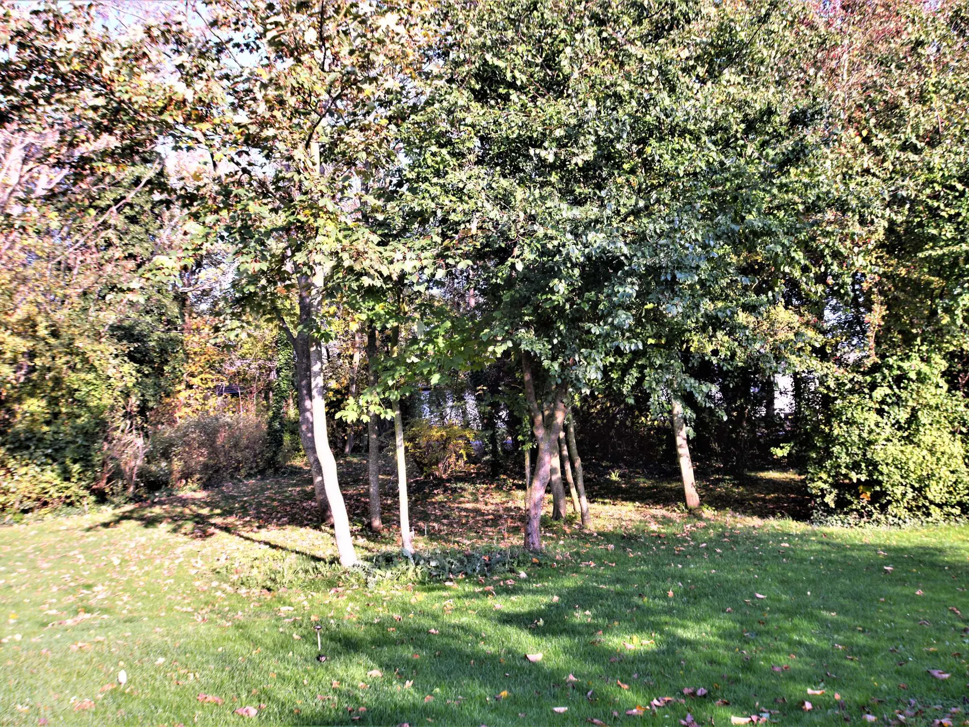 Bild 35 von 35