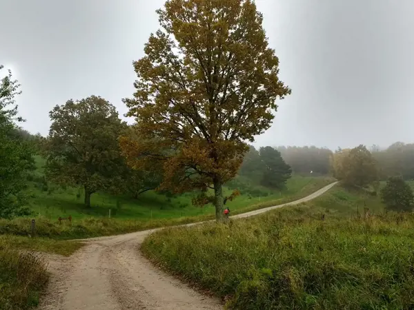 Bild 47 von 55