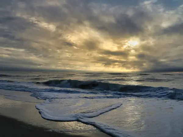 Bild 25 von 51