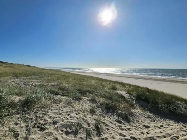 Bild 31 von 51