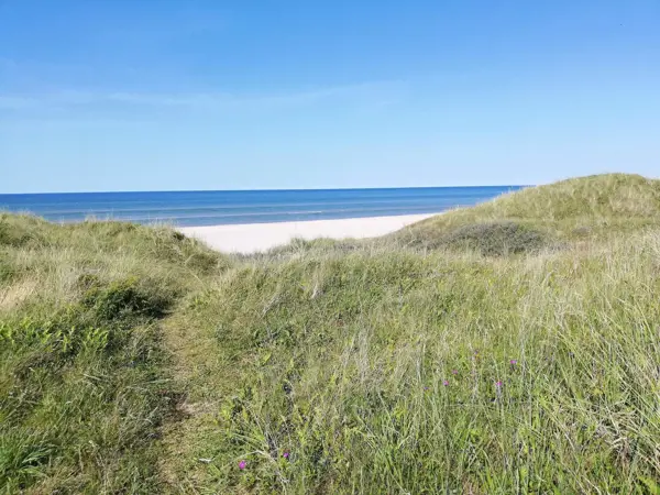 Bild 39 von 40