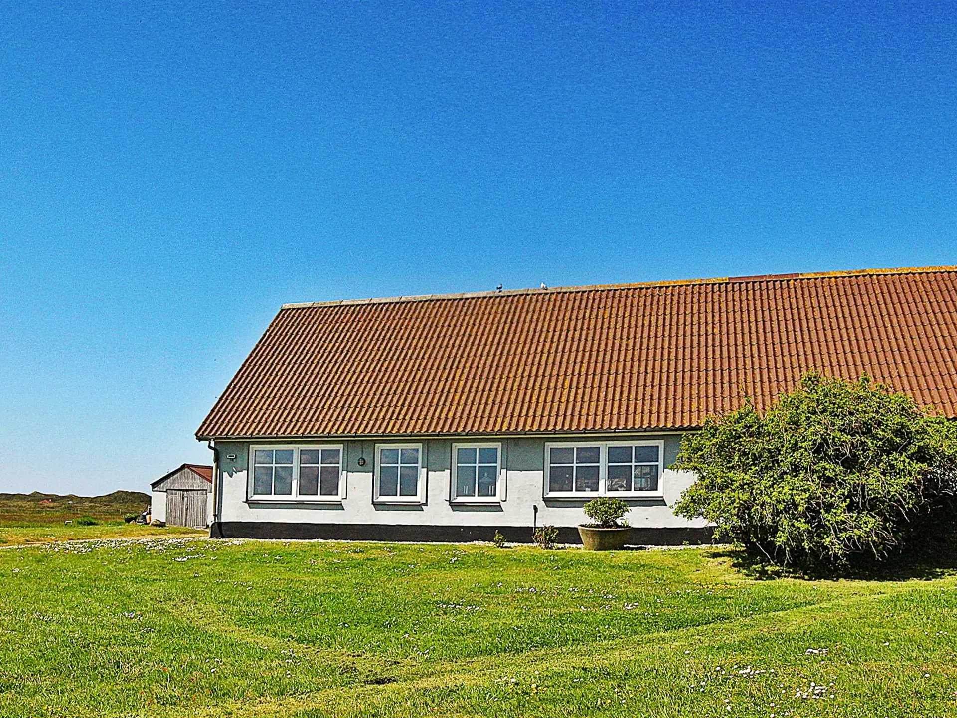 Haus 53500 in Nr. Lyngvig, Holmsland Klit