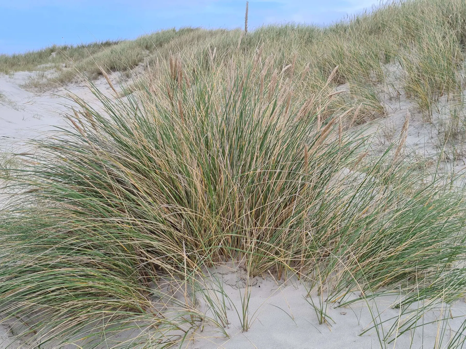 Bild 28 von 39