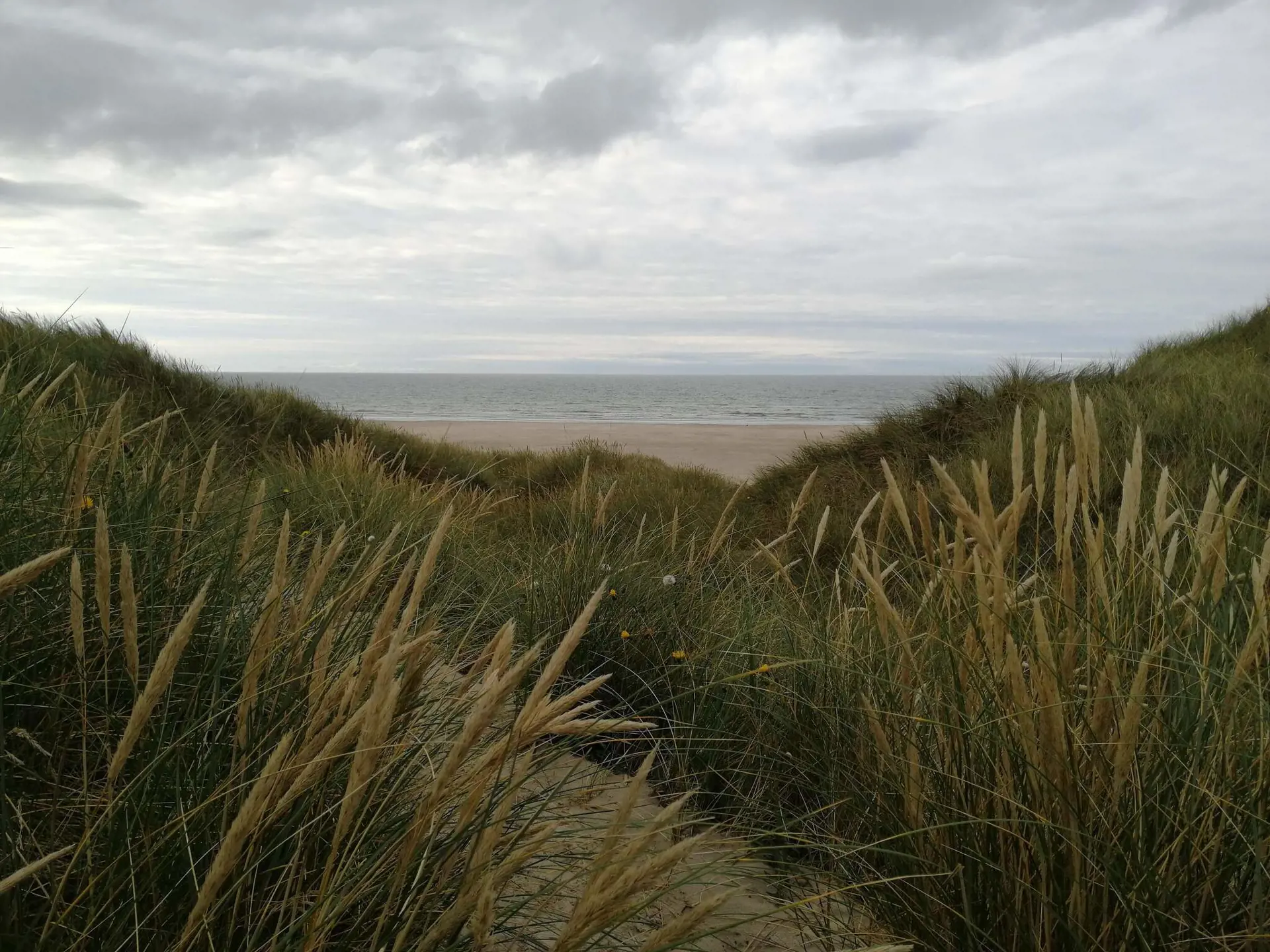 Bild 34 von 39