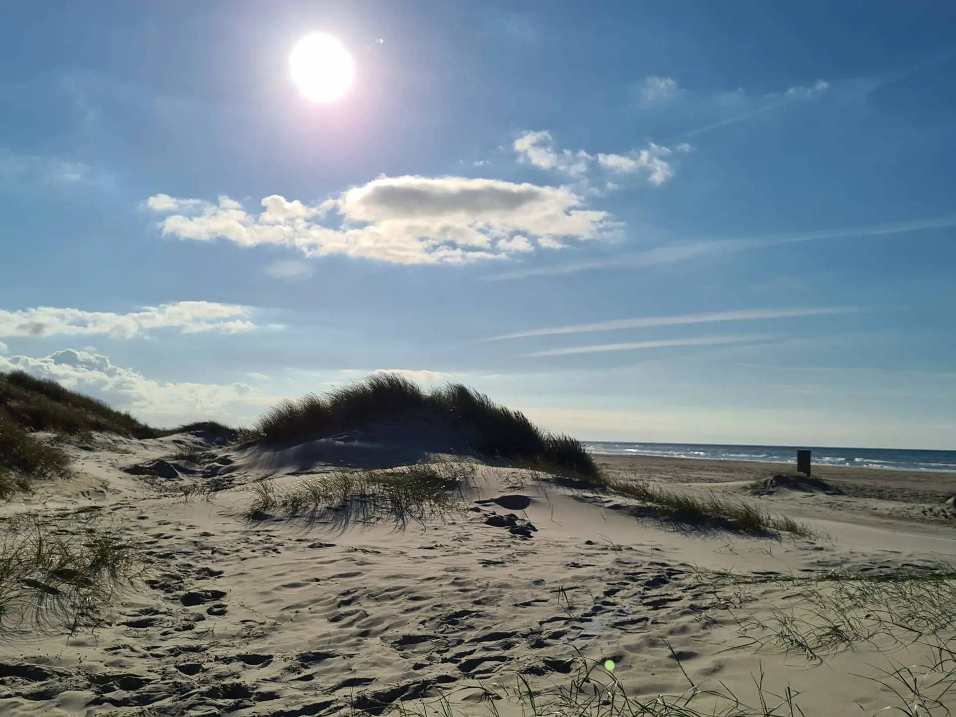 Bild 35 von 39