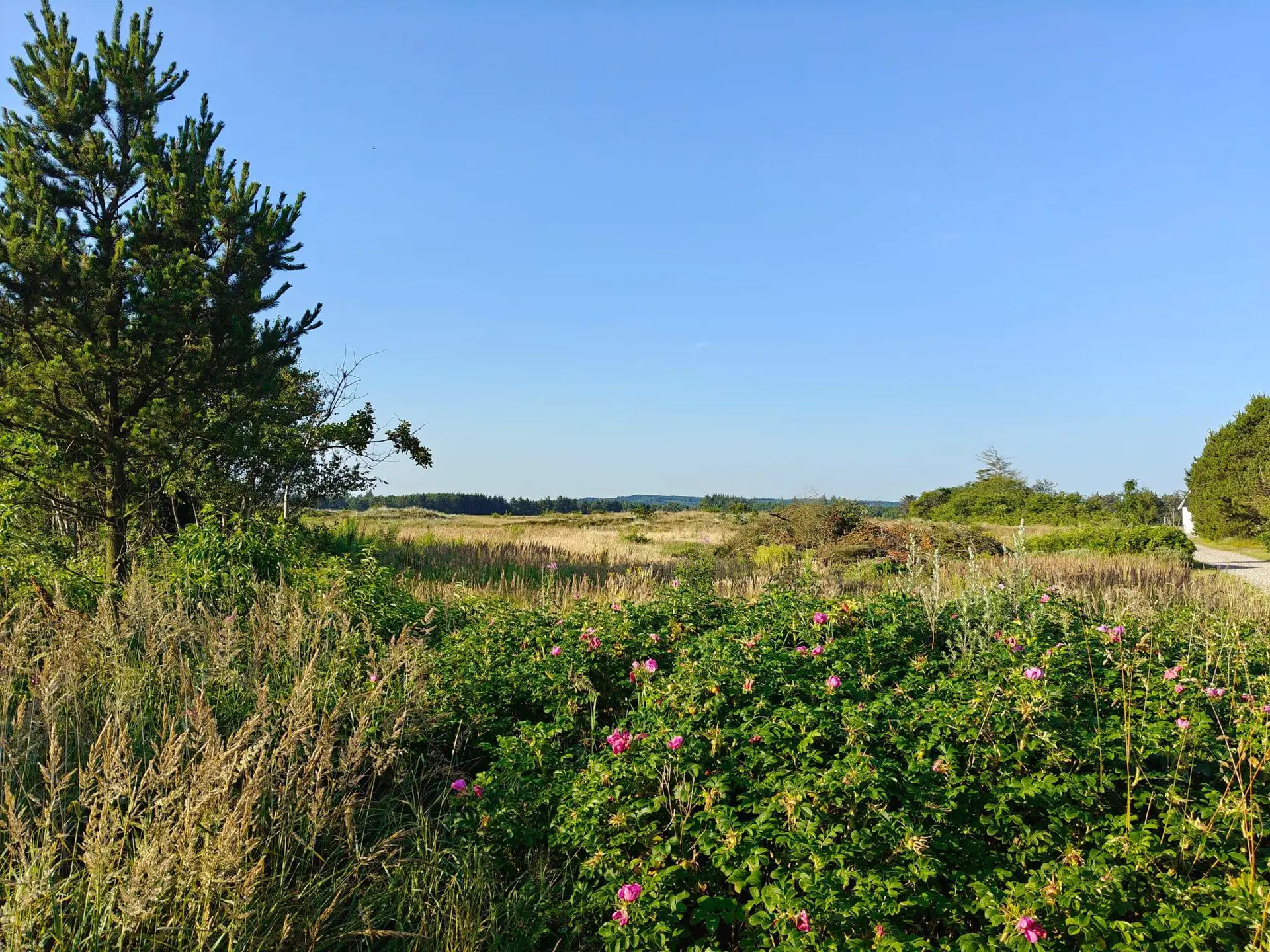 Bild 37 von 39