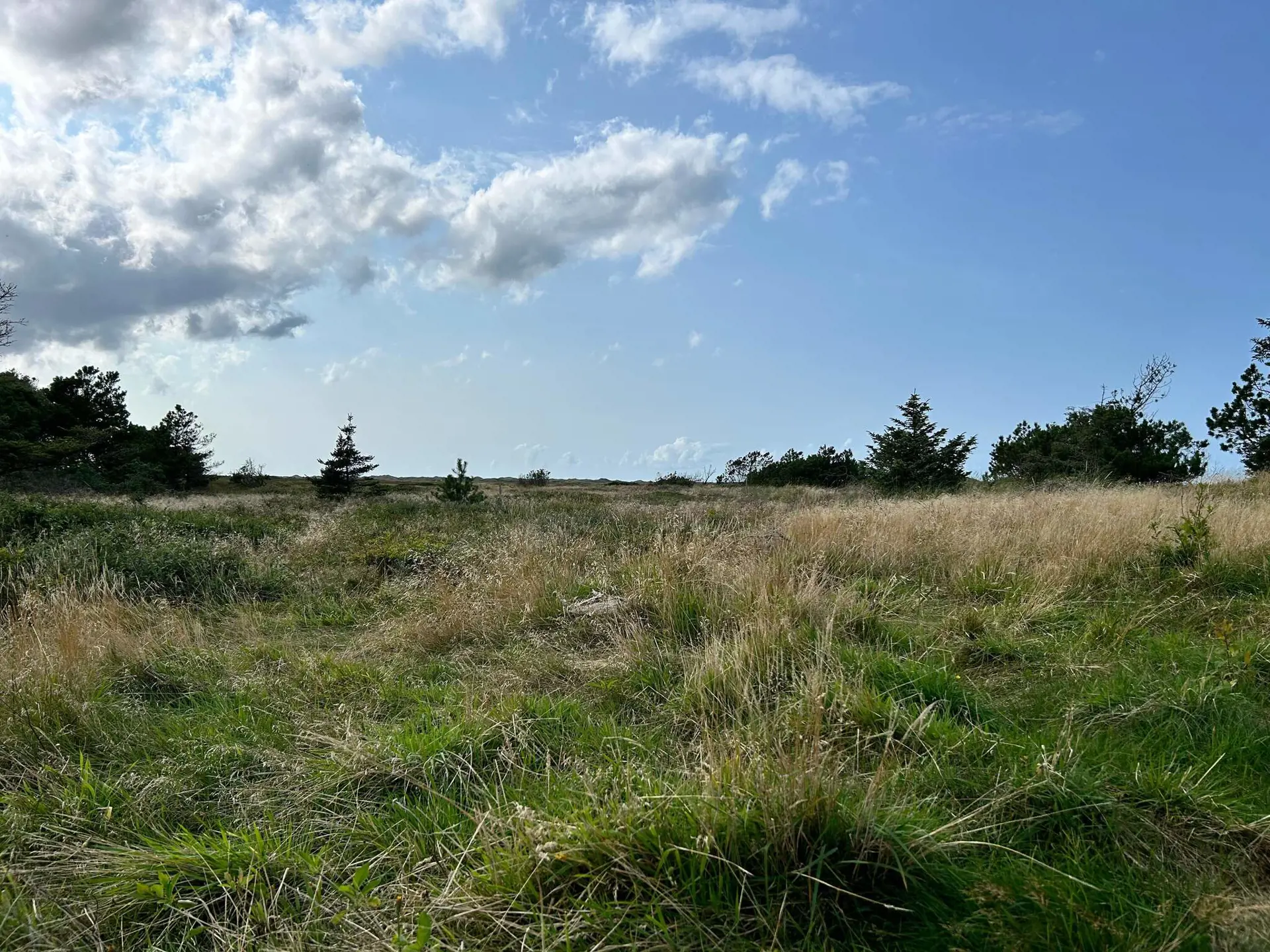 Bild 38 von 39