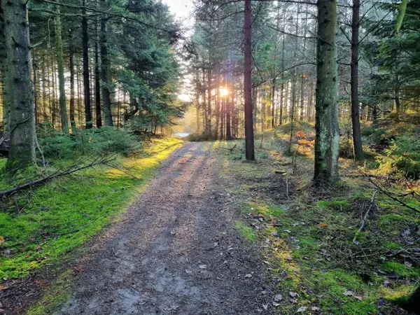 Bild 37 von 40