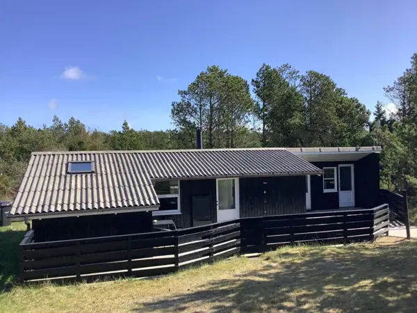 Ferienhaus 53635 in Vorupør / Thy