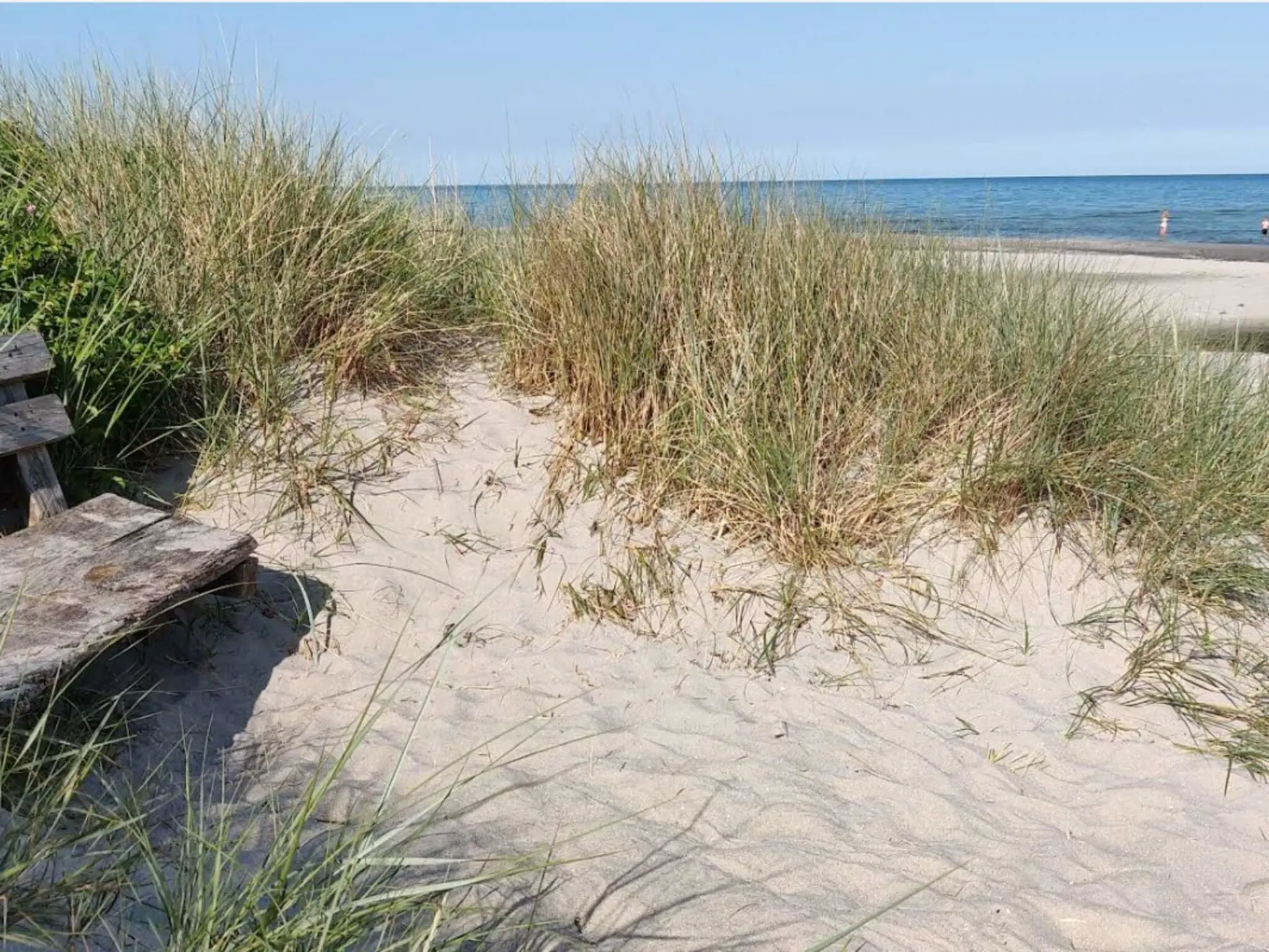 Bild 33 von 33