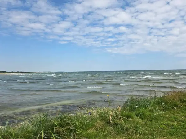Bild 16 von 43