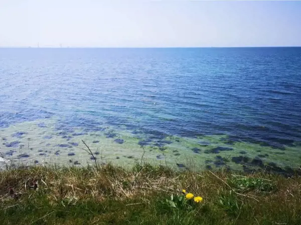 Bild 14 von 31