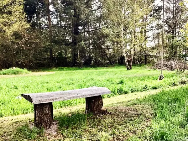 Bild 5 von 25