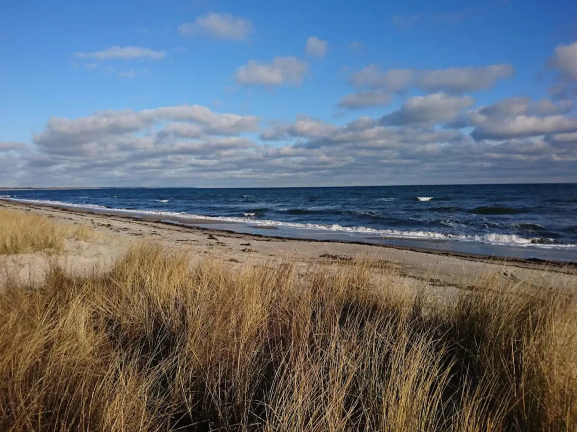 Bild 26 von 53
