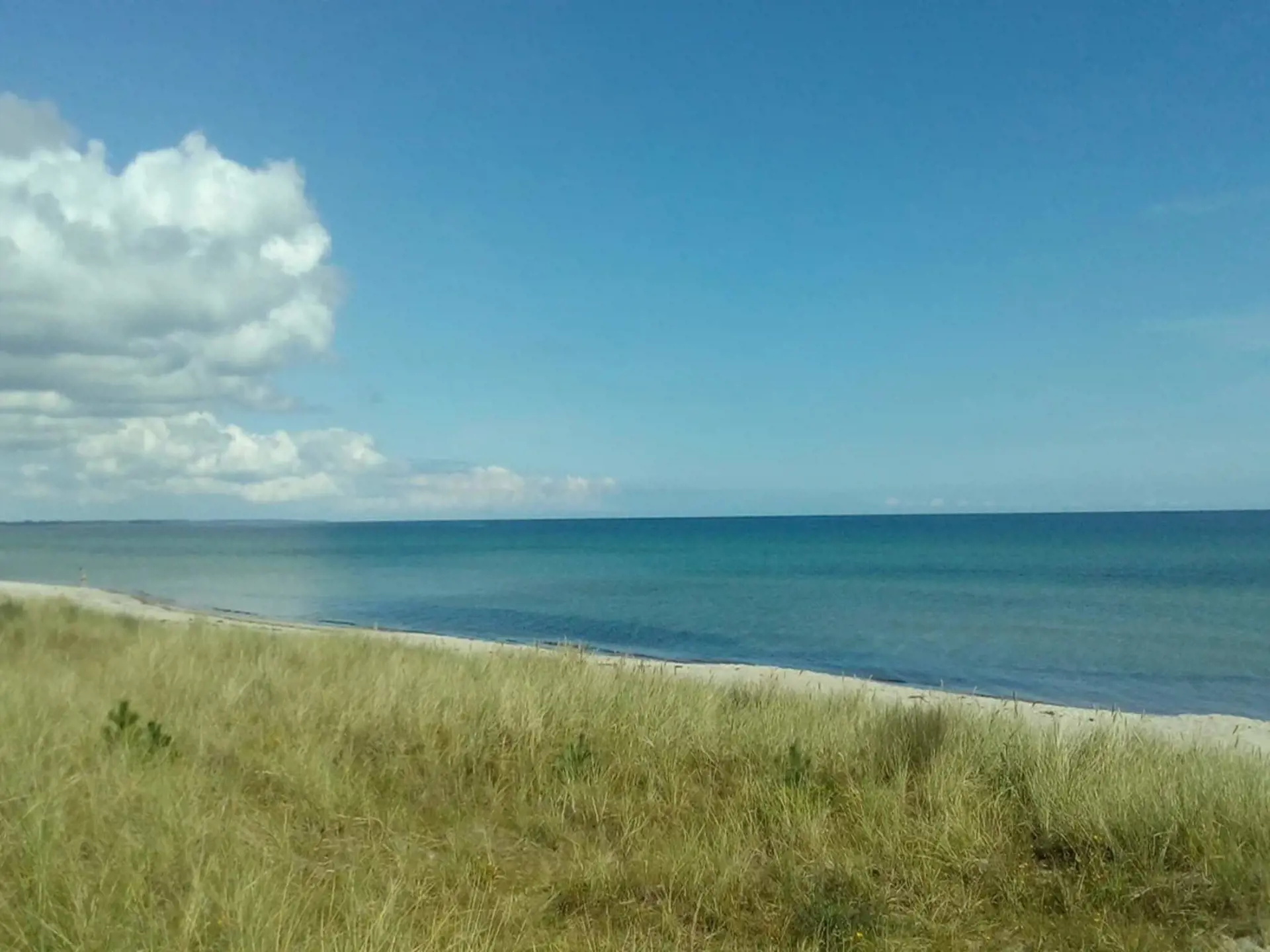 Bild 35 von 53