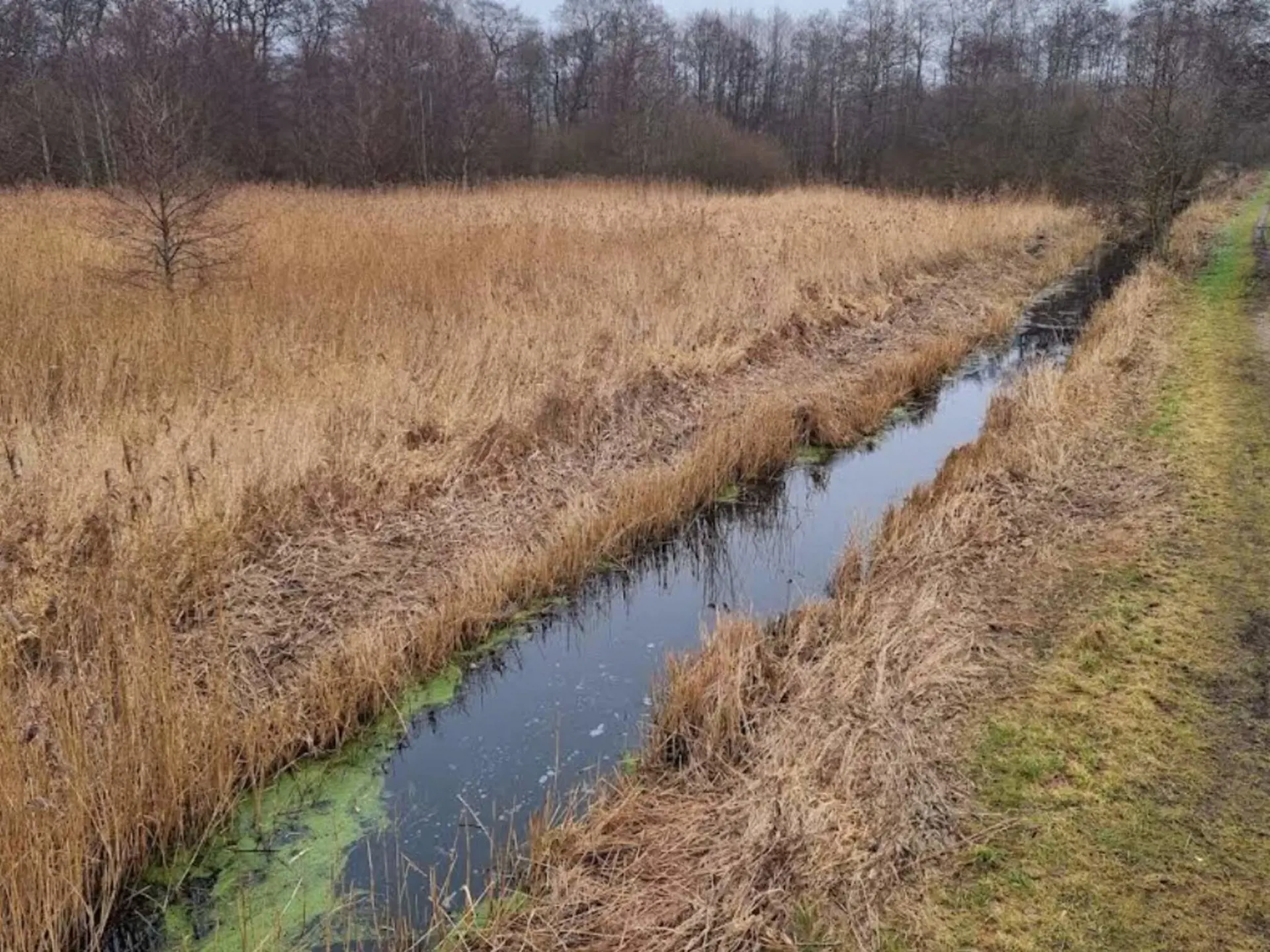 Bild 27 von 36
