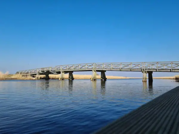 Bild 35 von 55