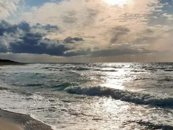 Bild 17 von 34
