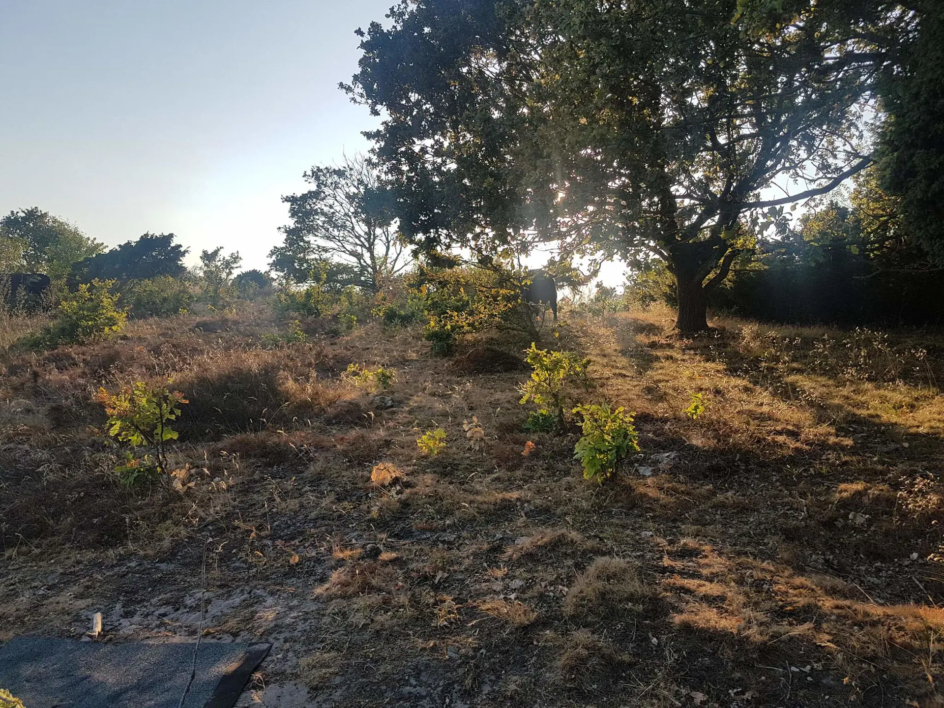 Bild 35 von 37