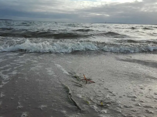 Bild 22 von 37
