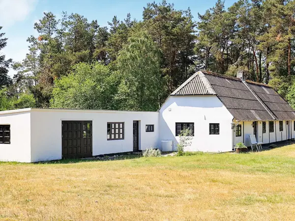 Ferienhaus 54260 in Østerby / Læsø